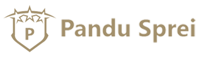 Responsive Pandu Logo